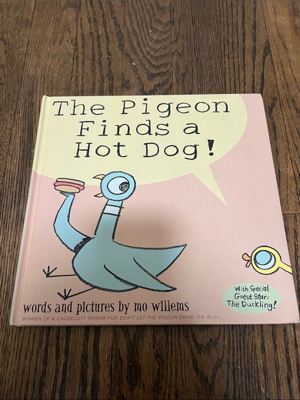 "The Pigeon Finds a Hot Dog!" Children's Book